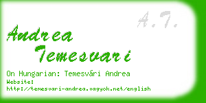 andrea temesvari business card